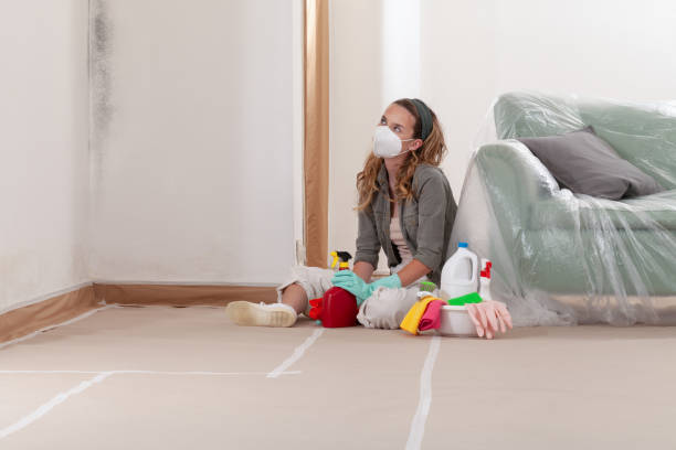 Reliable Black Mold Remediation contractor in Byron Center, MI by Car Mold Remediation